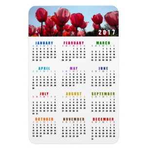 Íman Magnet Calendar 2017 - Jardim das Tulipas Rosa