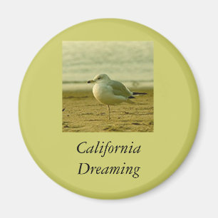Íman Magnet - California Dreams