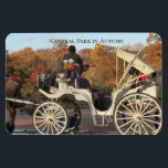 Íman Magnet — Carruagem no Parque Central de NYC<br><div class="desc">Magnet — Um dos famosos cavalos e carruagems no Central Park, NYC. Uma bela vista de outono das cores em mudança, enquanto o motorista se senta à espera da próxima tarifa. Os ímãs flexíveis da Zazzle são ótimos para decorações, brindes ou diversão! Perfeito para geladeiras ou qualquer superfície magnética, estes...</div>