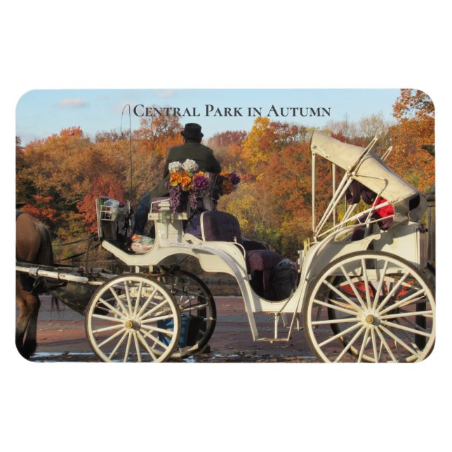 Íman Magnet — Carruagem no Parque Central de NYC (Horizontal)