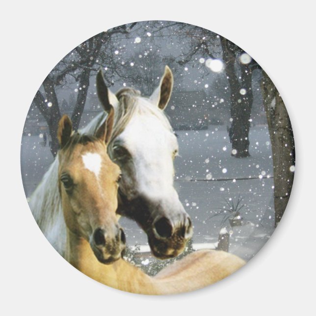 Íman Magnet Cavalo (Frente)