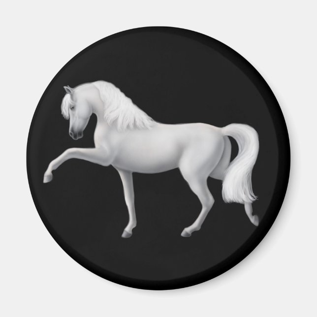 Íman Magnet Cavalo Andaluz Branco (Frente)