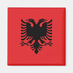 Íman Magnet com Bandeira da Albânia (Flamuri i Shqipëri