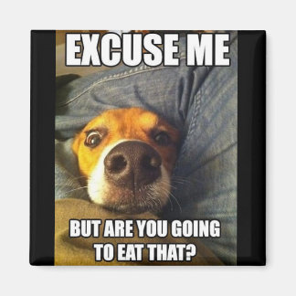 ÍMAN MAGNET COM DIZER