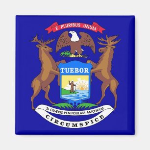 Íman Magnet com Flag of Michigan State - EUA