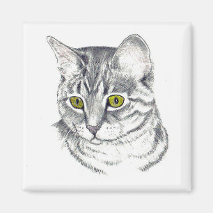 ÍMAN MAGNET COM GATO TIGER