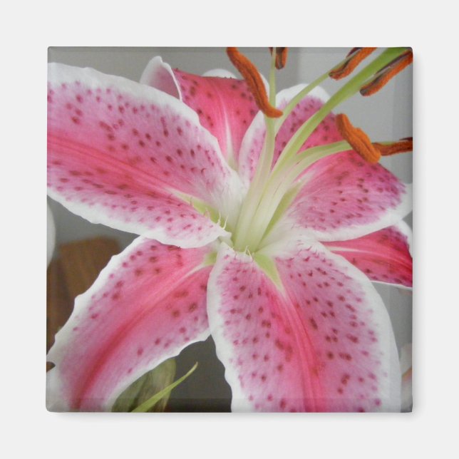 ÍMAN MAGNET COM PINK LILY (Frente)