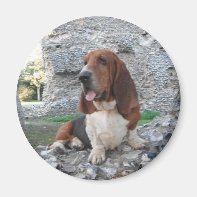 Íman Magnet Com Visita De Ruínas Do Castelo De Hound Ba (Frente)