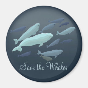 Íman Magnet Da Baleia Beluga, Personalizada Pela Imã d