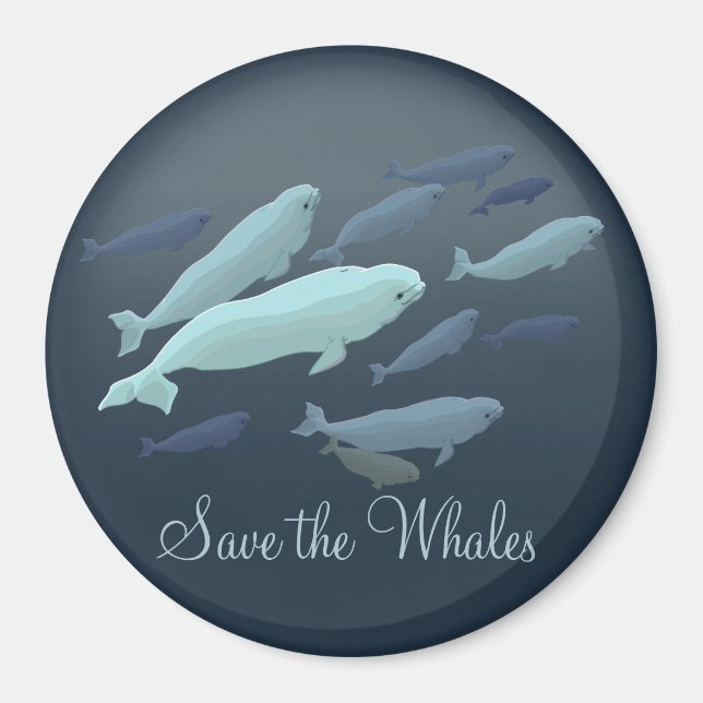 Íman Magnet Da Baleia Beluga, Personalizada Pela Imã de (Frente)