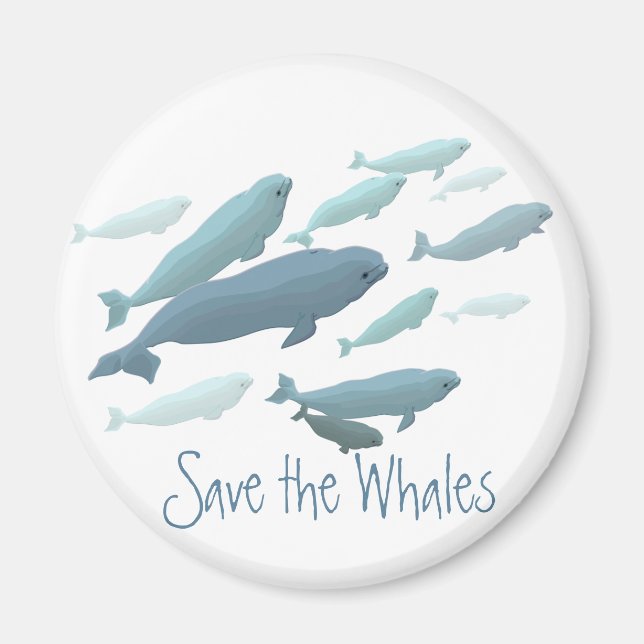 Íman Magnet Da Baleia Beluga, Personalizada Pela Imã de (Frente)