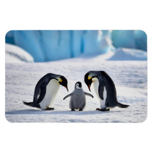 Íman Magnet da Família Penguin