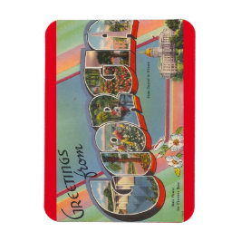 Íman Magnet da Geórgia