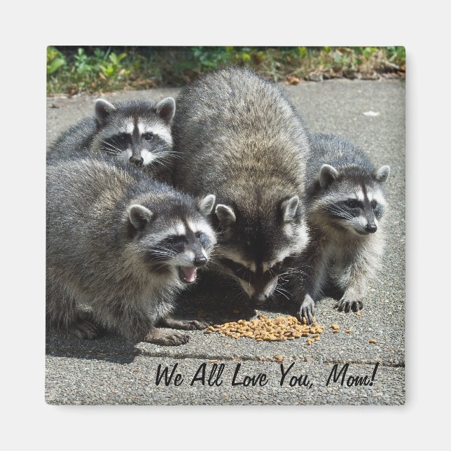 Íman Magnet da Mãe da Família Raccoon (Frente)