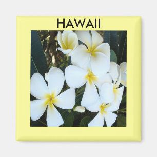 Íman Magnet da Plumeria do Havaí