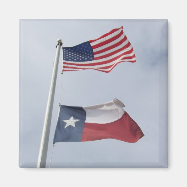 Íman Magnet da Praça da Bandeira do Texas e dos Estados (Frente)