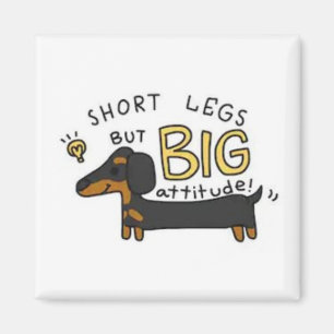 Íman Magnet Dachshund