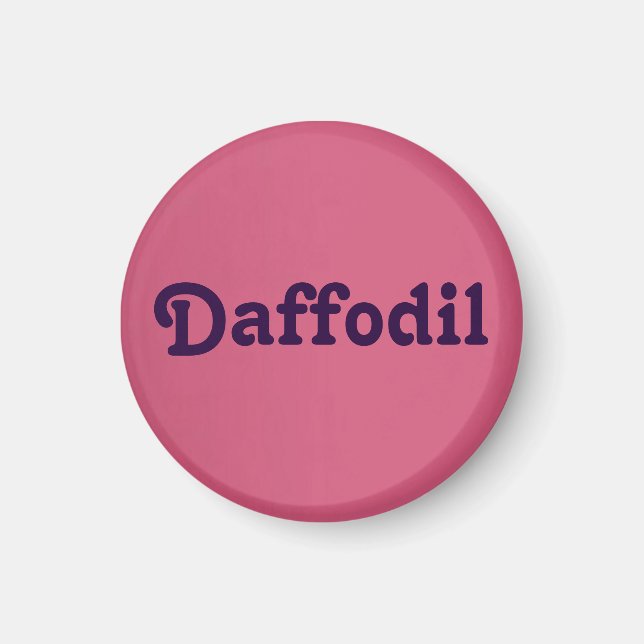 Íman Magnet Daffodil (Frente)
