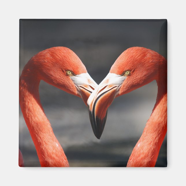 Íman Magnet De Amor Flamingo Rosa (Frente)