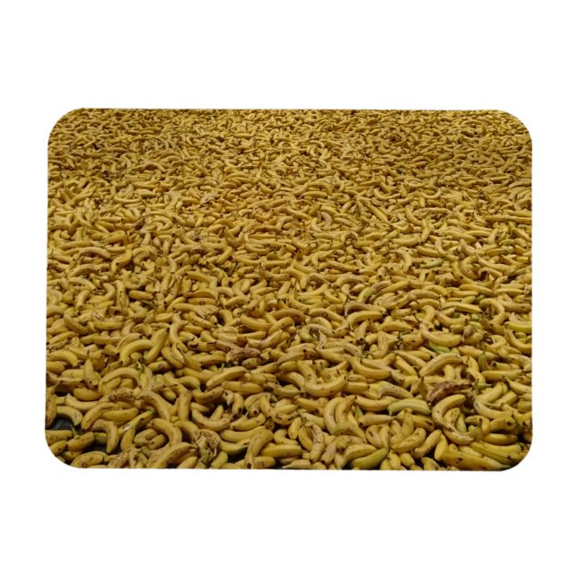 Íman Magnet de Bananas 3"x4" (Horizontal)