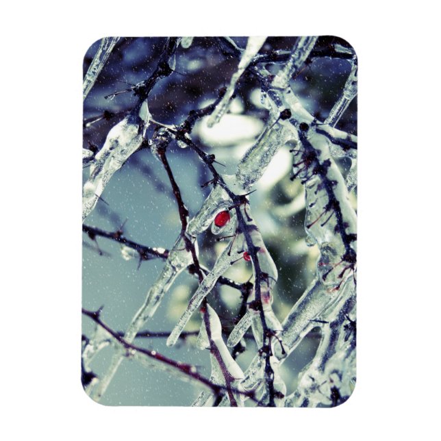 Íman Magnet De Berry Premium Congelado (Vertical)