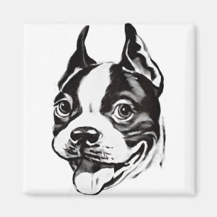 Íman Magnet de Boston Terrier