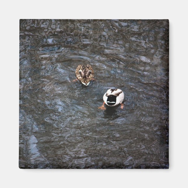 ÍMAN MAGNET DE BUMBUNS DUCK (Frente)