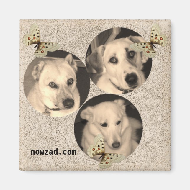 Íman Magnet de Cães de Emergência Nowzad (Frente)