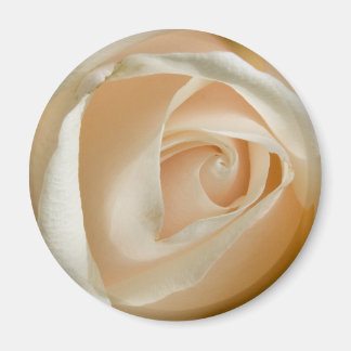 Íman Magnet de Casamento de Rosa de Peach