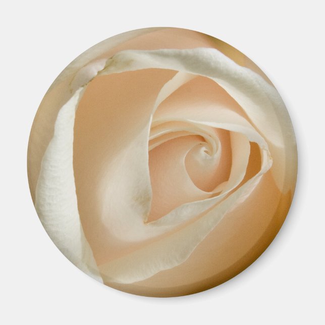 Íman Magnet de Casamento de Rosa de Peach (Frente)
