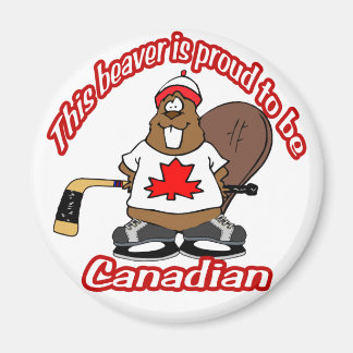 Íman Magnet de castor canadense
