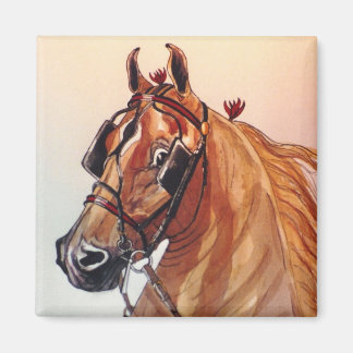 Íman Magnet de Cavalos de Sela