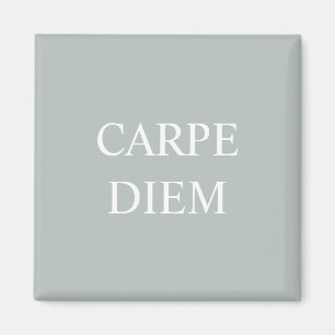 Íman Magnet de Cotação Latina do Carpe Diem