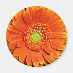 Íman Magnet de Flor Amarelo Laranja