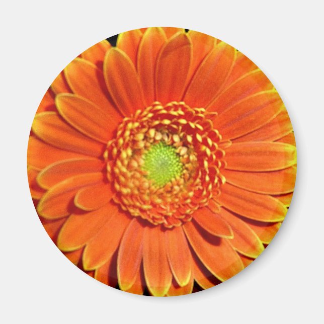 Íman Magnet de Flor Amarelo Laranja (Frente)