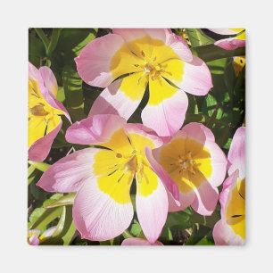 Íman Magnet de flores rosa e amarelas