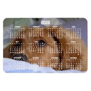 Íman Magnet de Foto Grande para Calendário do Retriever