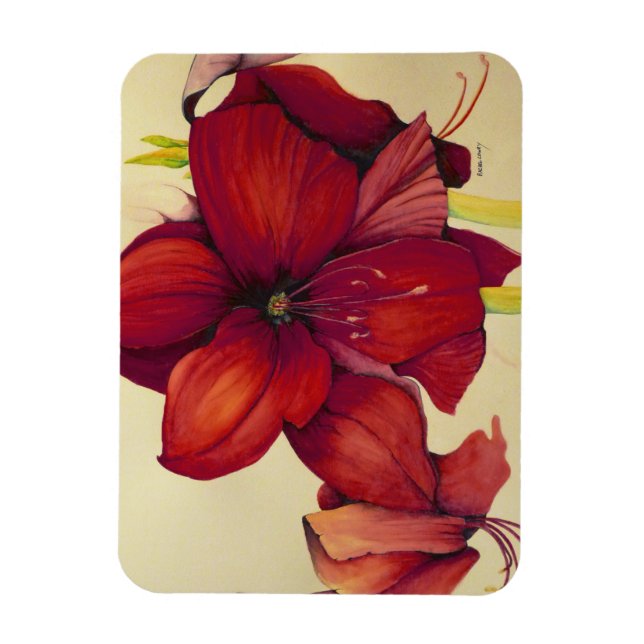 Íman Magnet de Fotografias do Amaryllis de Natal Vermel (Vertical)