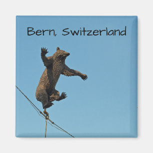Íman Magnet de Fotografias do Bern Bear