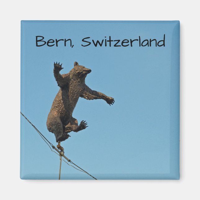 Íman Magnet de Fotografias do Bern Bear (Frente)