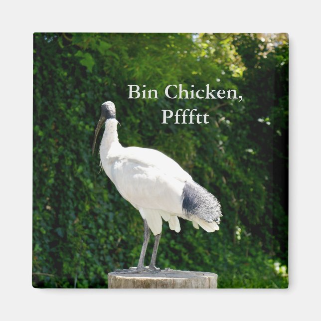 Íman Magnet De Frango caixa (Ibis) (Frente)