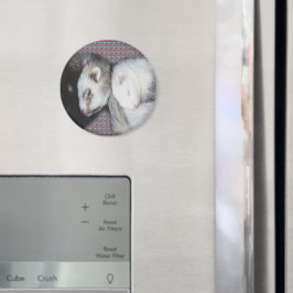 Íman Magnet de Furões de Sonhos Doce