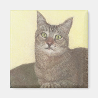 Íman Magnet de Gato Abissino