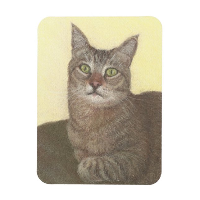 Íman Magnet de Gato Abissino (Vertical)