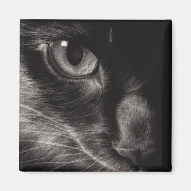 Íman Magnet de Gato de Bela Negra (Frente)