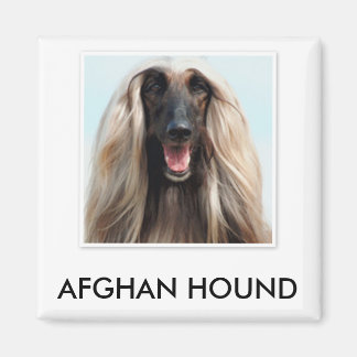 Íman Magnet de Hound Afegão