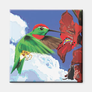 Íman Magnet de Hummingbird