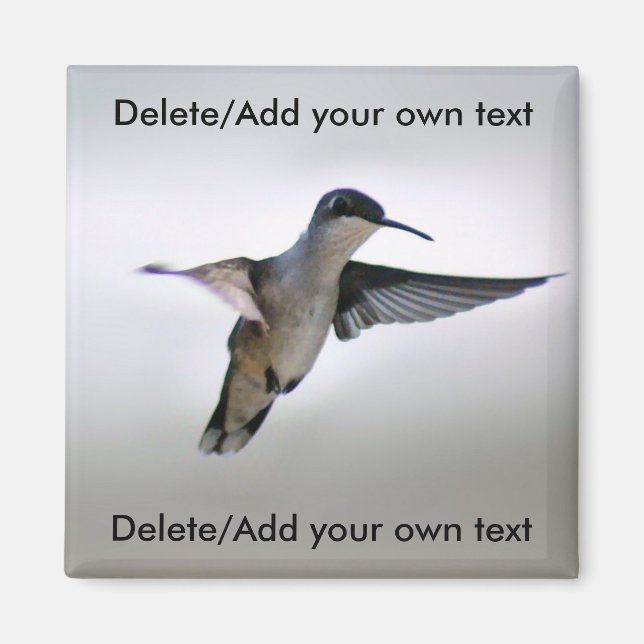Íman Magnet de Hummingbird (Frente)