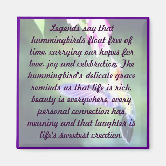 Íman Magnet de Hummingbird