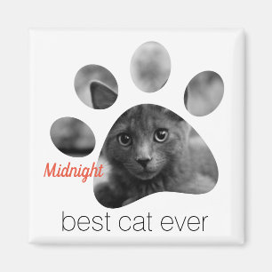 Íman Magnet de Impressão de Pata de Fotos Personalizad